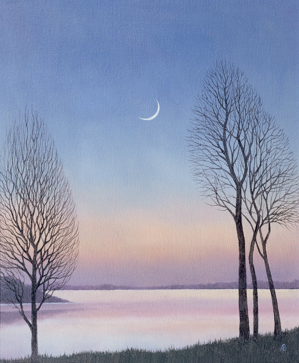 Hämärä Draycotessa, 2008 tekijältä Anna Phillips