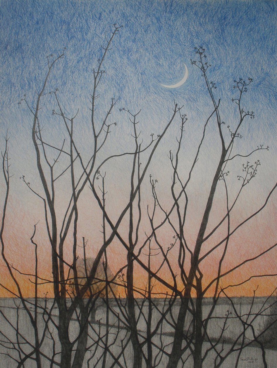 Ikkunastani, 2011 (värikynä paperille) tekijältä Anna Phillips