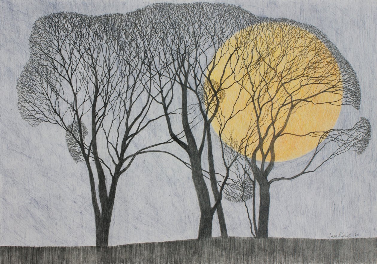 Megamoon, 2011 (värikynä paperille) tekijältä Anna Phillips