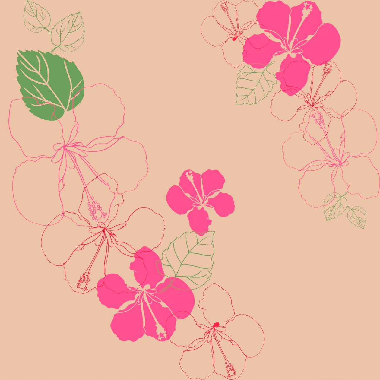 Hibiscus tekijältä Anna Platts