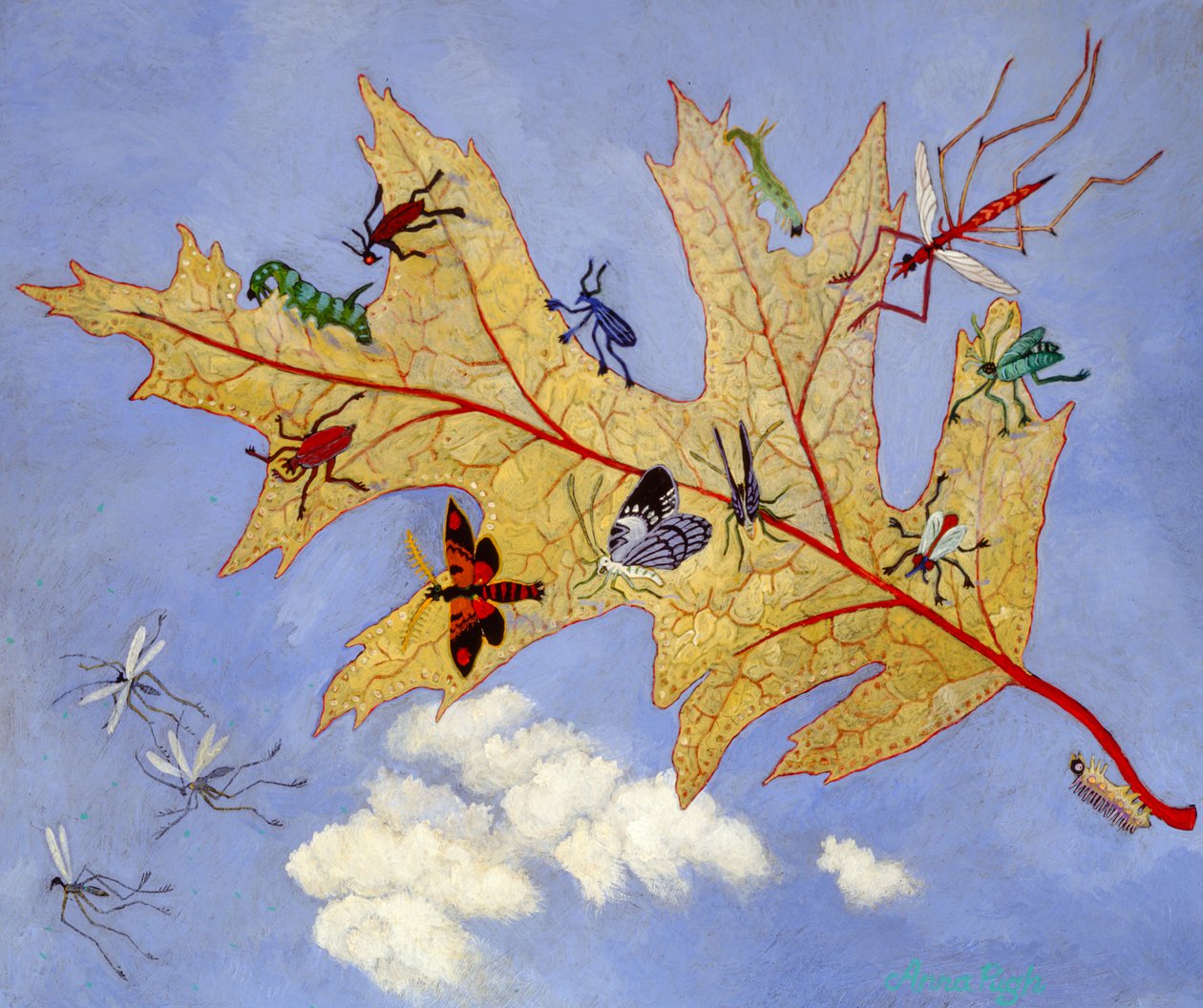 Syksyn lehti, 2009 (akryyli) tekijältä Anna Pugh