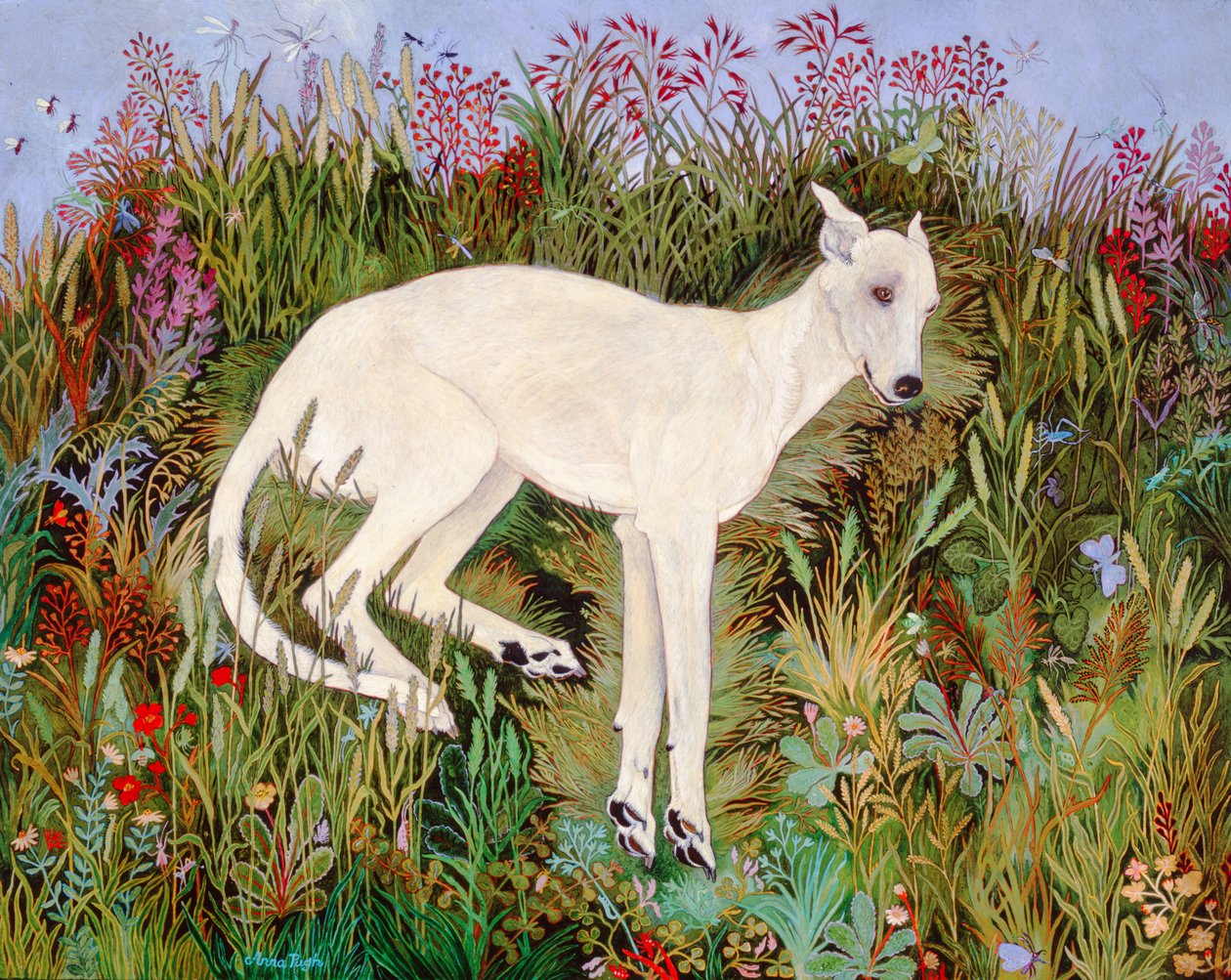 Bliss off Grass, 2009 (akryyli) tekijältä Anna Pugh