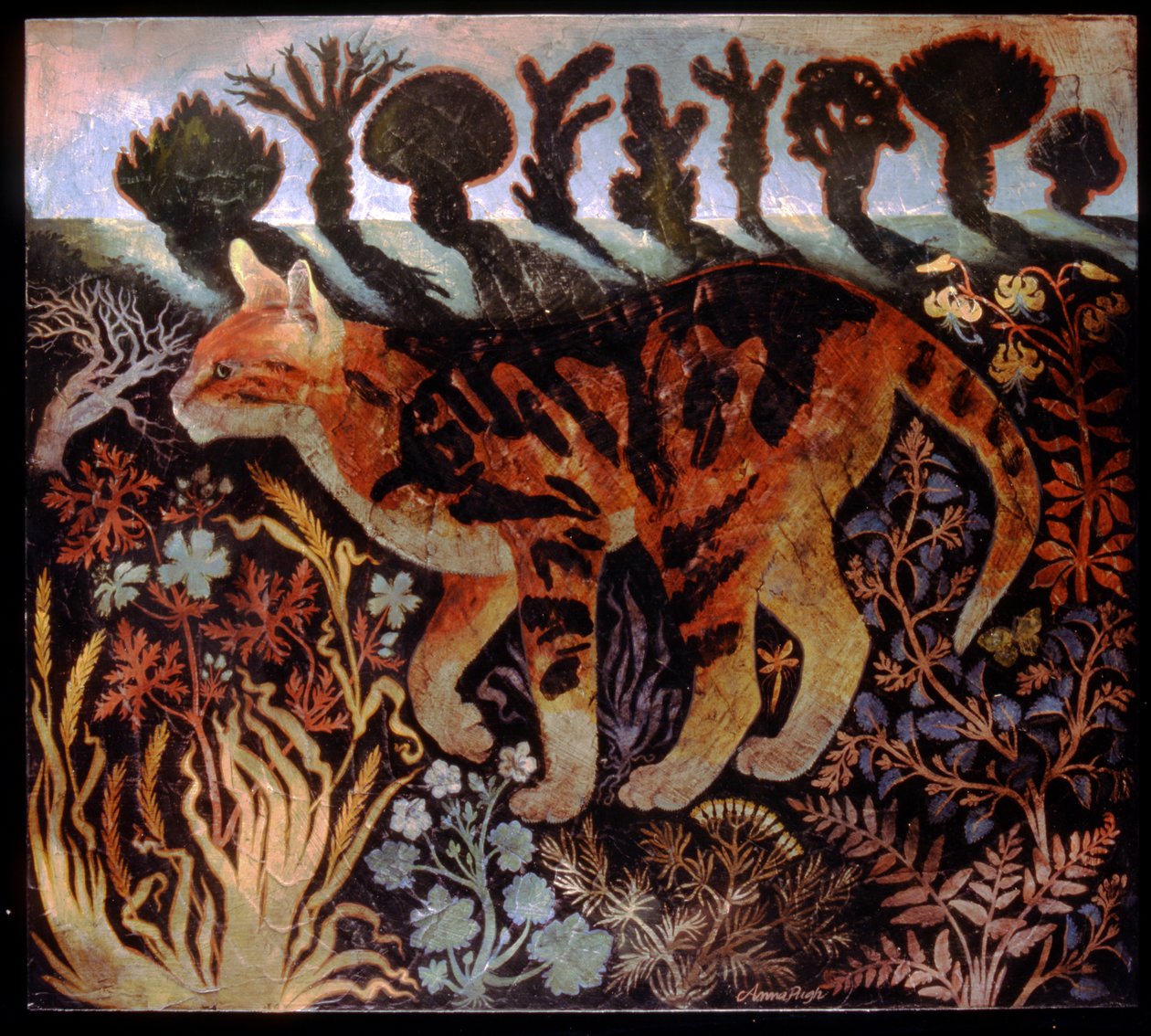 Cambridge Cat tekijältä Anna Pugh