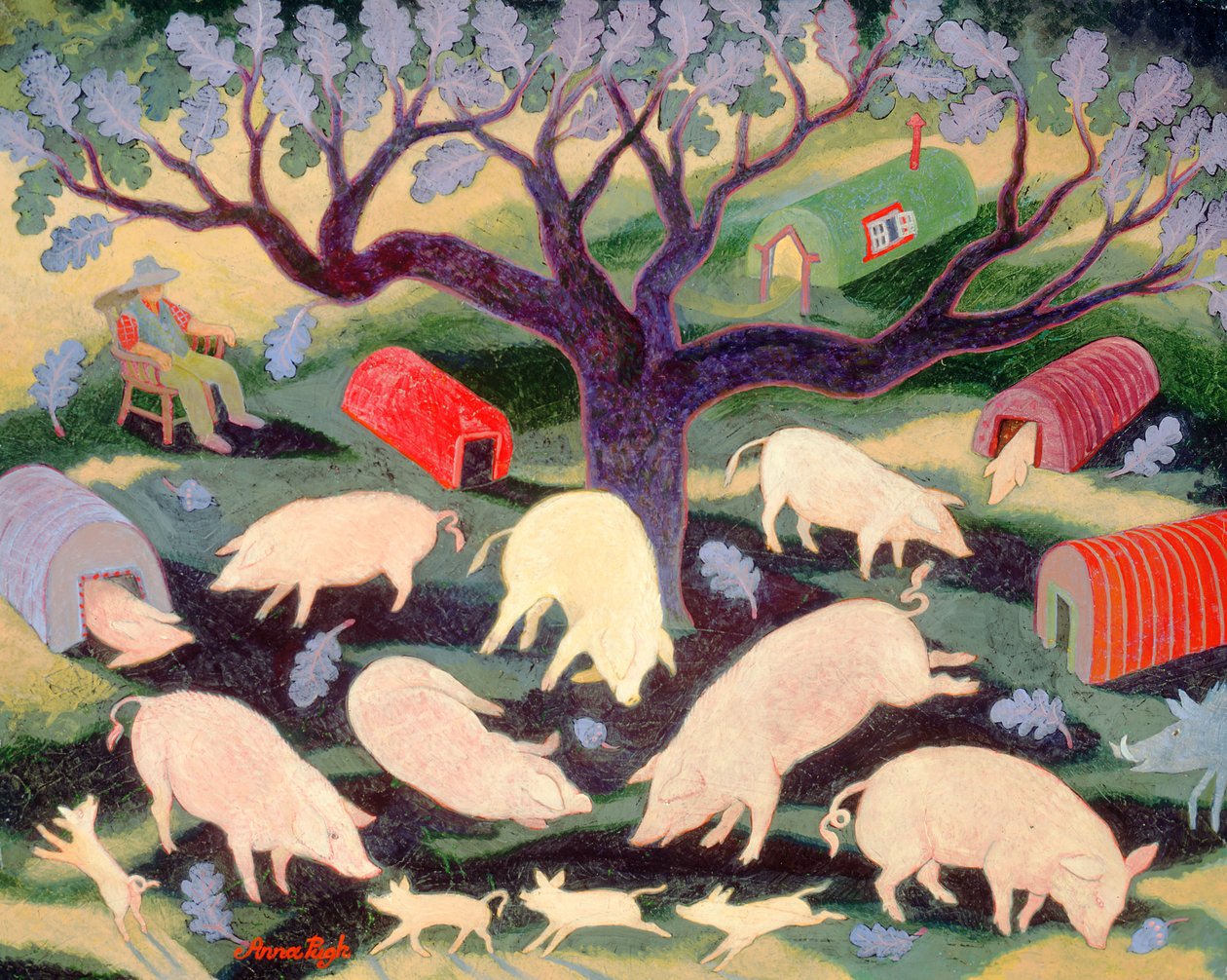 Onnellinen mies tekijältä Anna Pugh