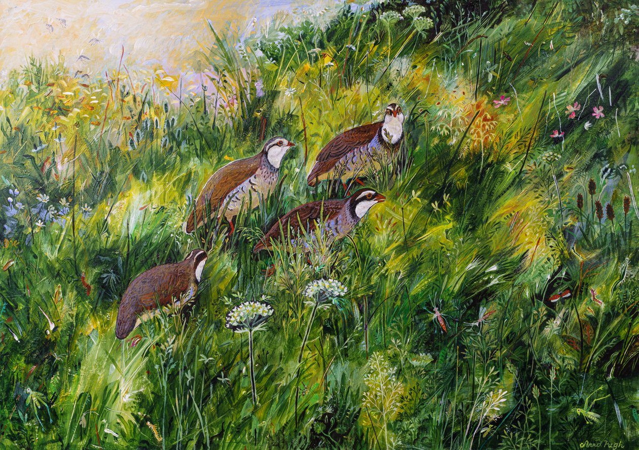 Pitkä ruoho, 2022 (akryyli laudalle) tekijältä Anna Pugh