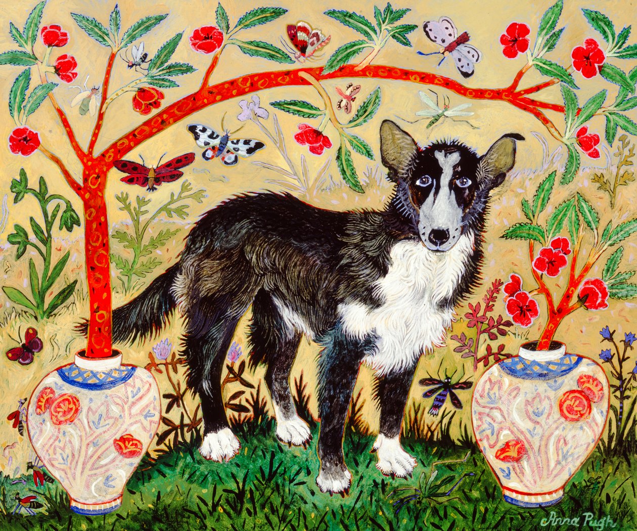 Mutt, 2009 (akryyli) tekijältä Anna Pugh