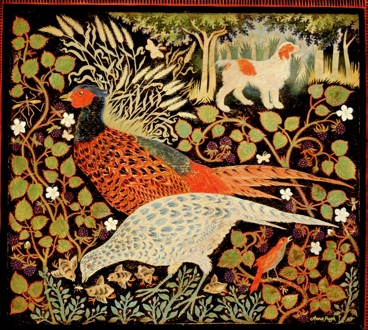 Fasaanit tekijältä Anna Pugh