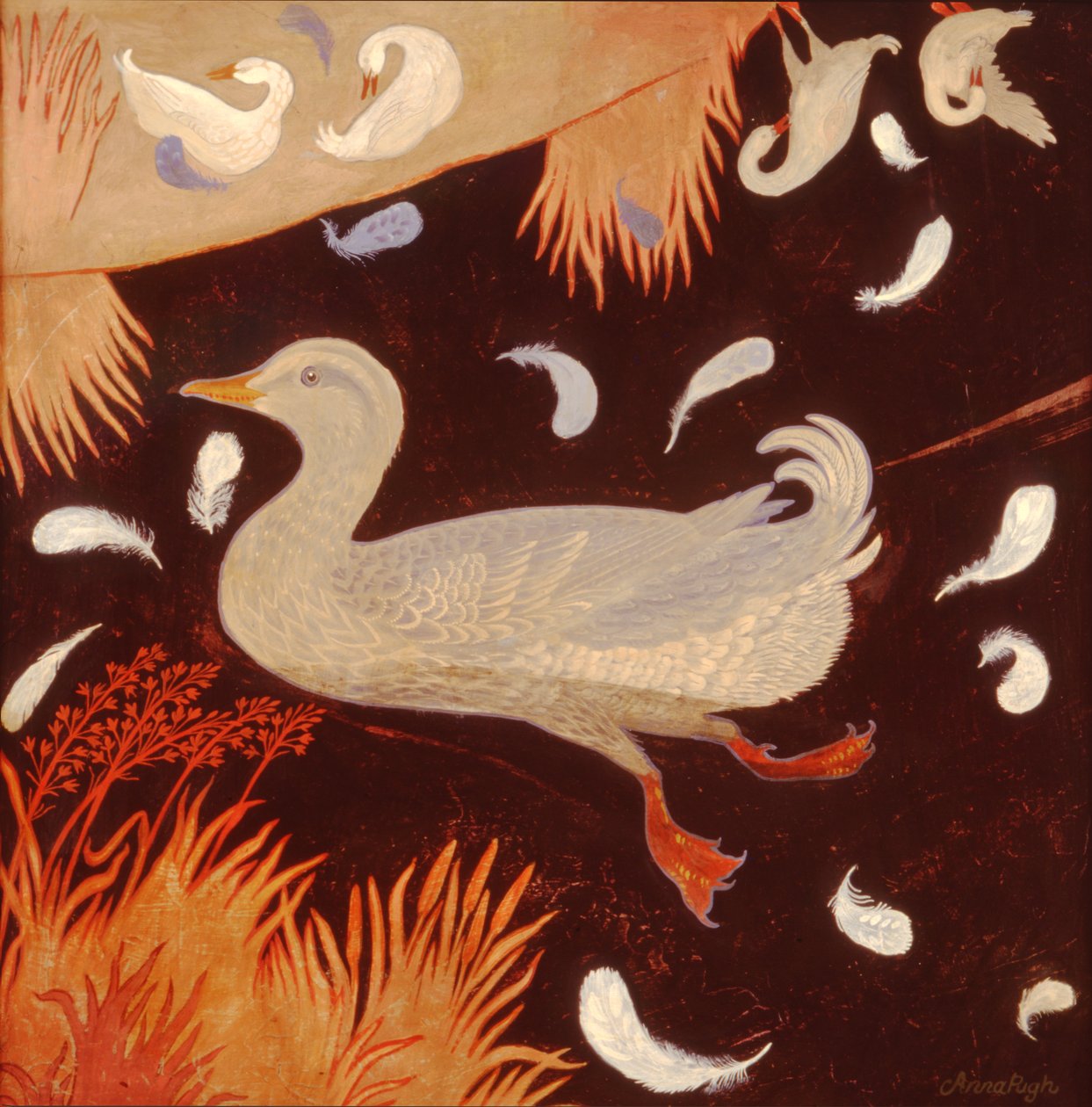 Preening tekijältä Anna Pugh