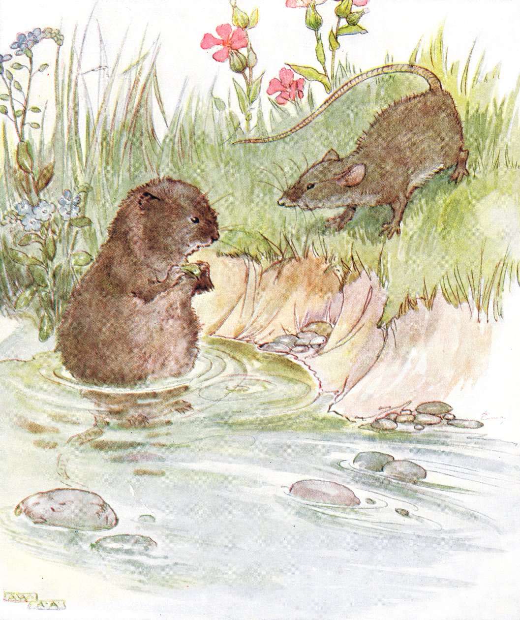 "Called on Squire Water Rat, perheen vanha ystävä", kuvitus "The Mischievous Mouse Book" -kirjasta, julkaisija Thomas Nelson und Sons, 1920-luku tekijältä Anne Anderson