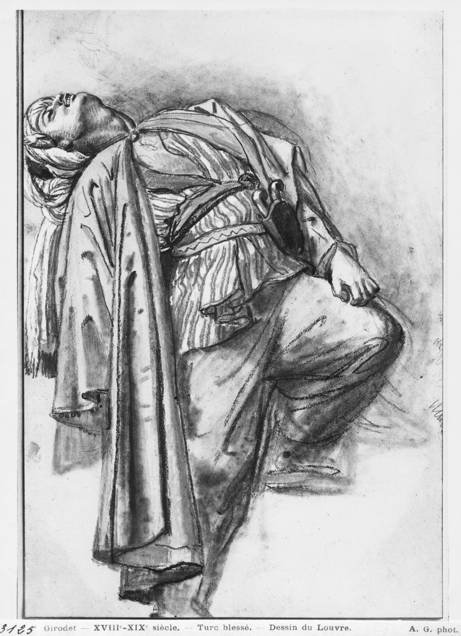 Haavoittunut turkki (musta kynä ja kanto ja pastelli beigellä paperilla) tekijältä Anne Louis Girodet de Roucy Trioson