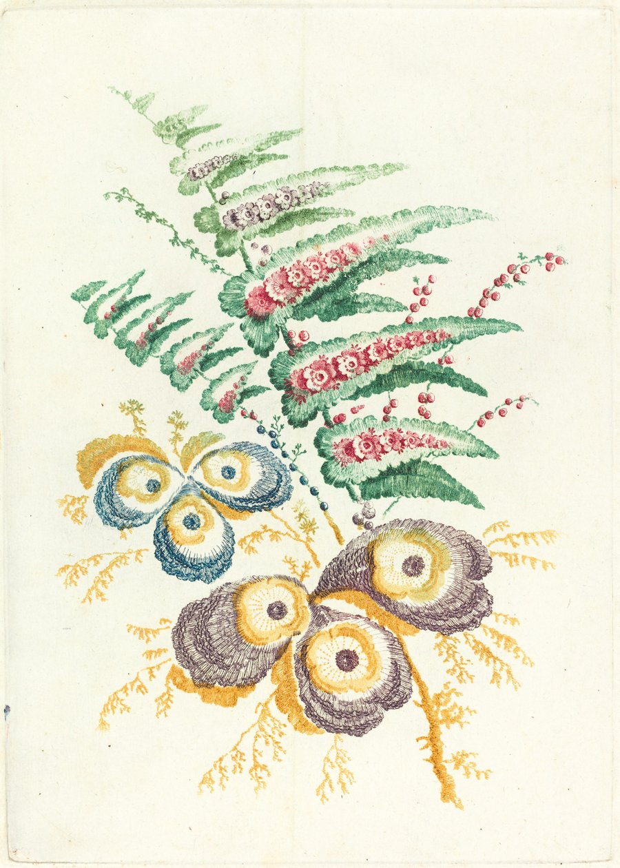 Upeita kukkia osterinkuoren kukilla, c. 1795. tekijältä Anne Allen