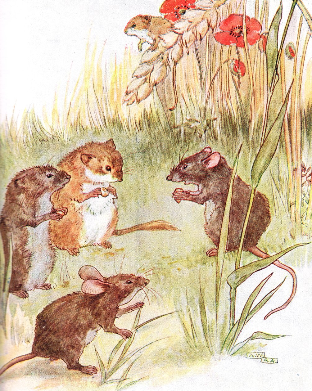 Asun ystävien kanssa maassa, kuvitus Thomas Nelson und Sonsin julkaisemasta The Mischievous Mouse Book -kirjasta, 1920-luku tekijältä Anne Anderson