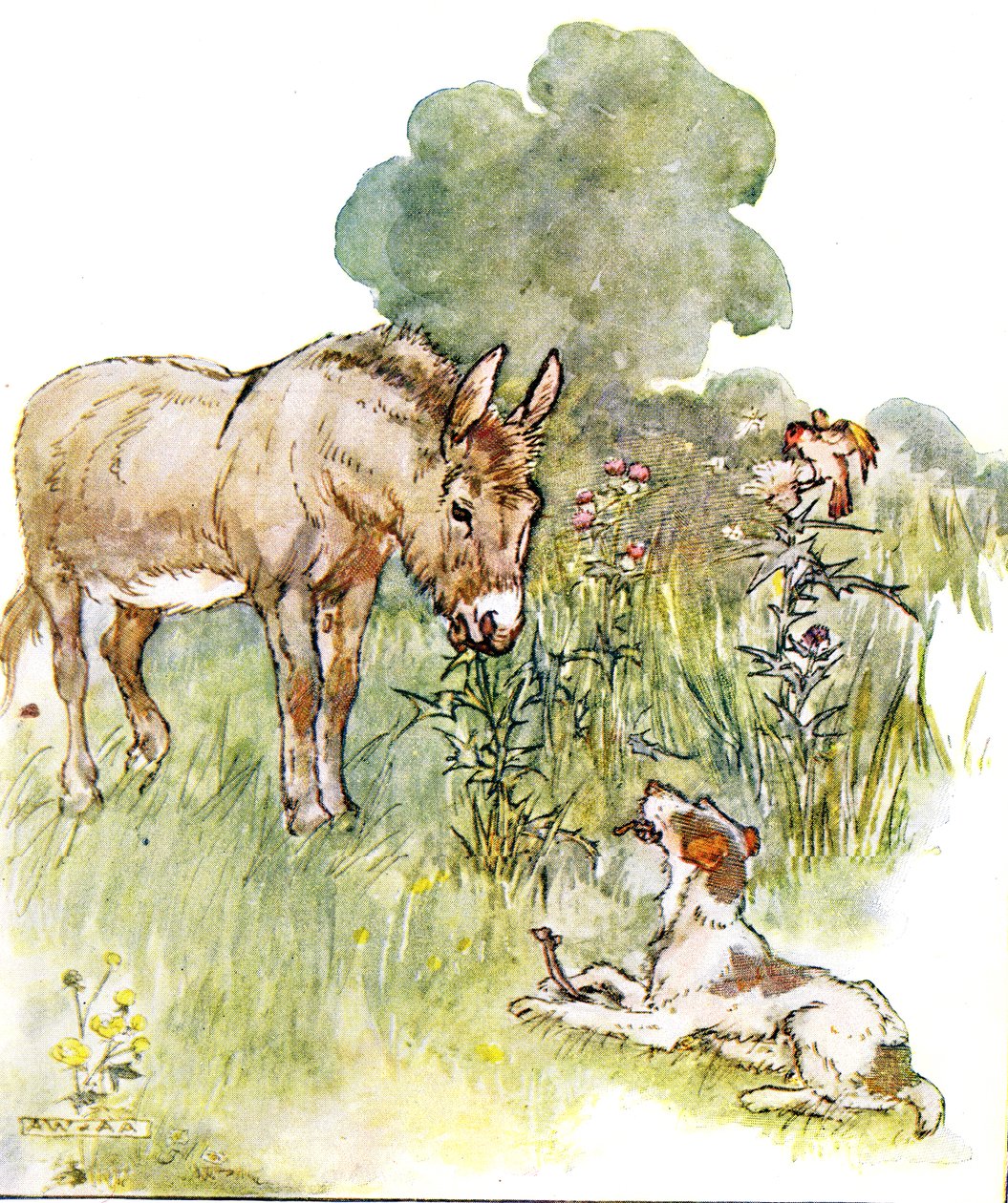 "Puhuin Ponton kanssa, joka tuli kentälleni luulla", kuvitus "The Naughty Neddy Bookista", julkaisija Thomas Nelson und Sons, 1920-luku tekijältä Anne Anderson