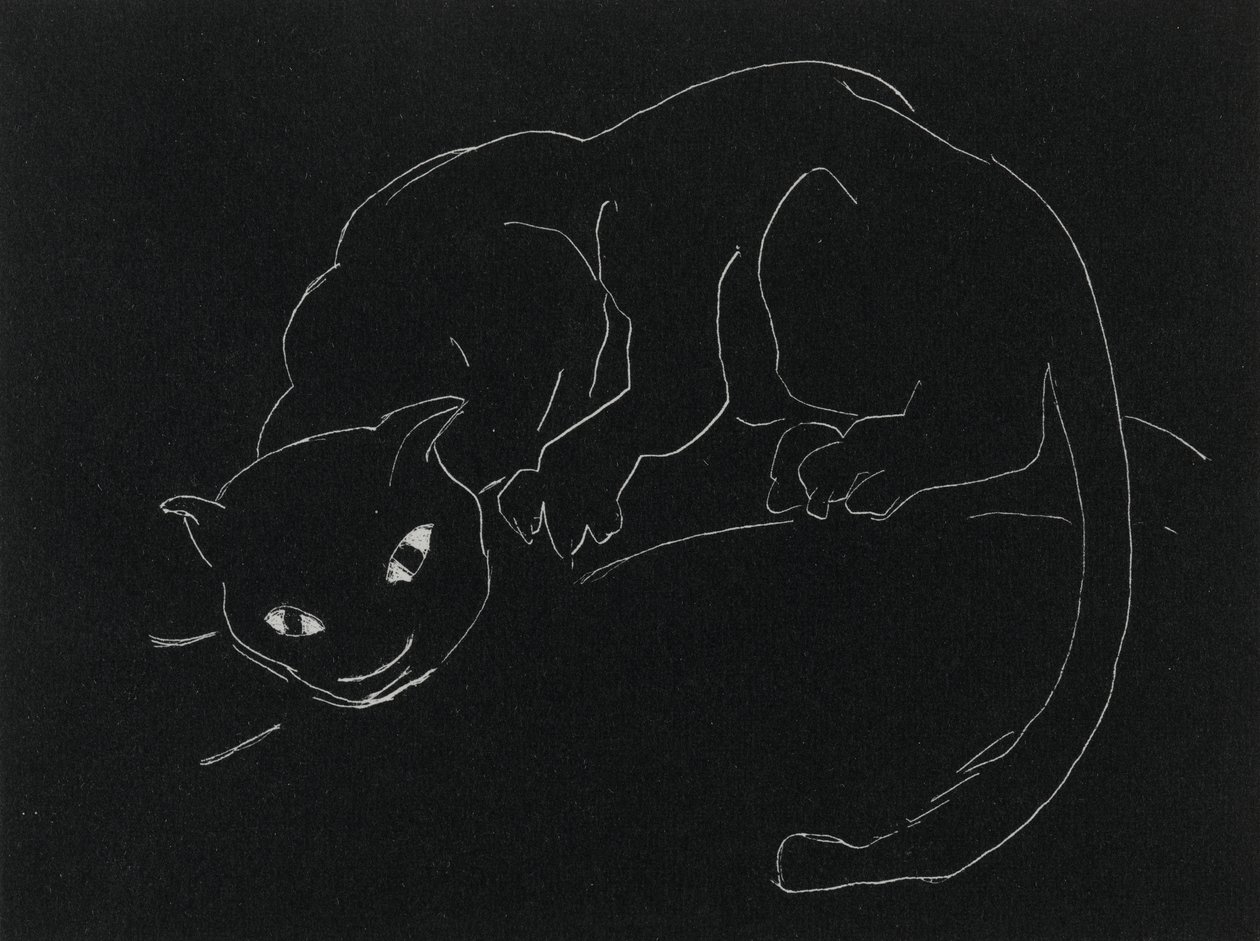 Yösarja: Kissa (litho, valkoinen viiva kudottupaperilla) tekijältä Anne Goldthwaite