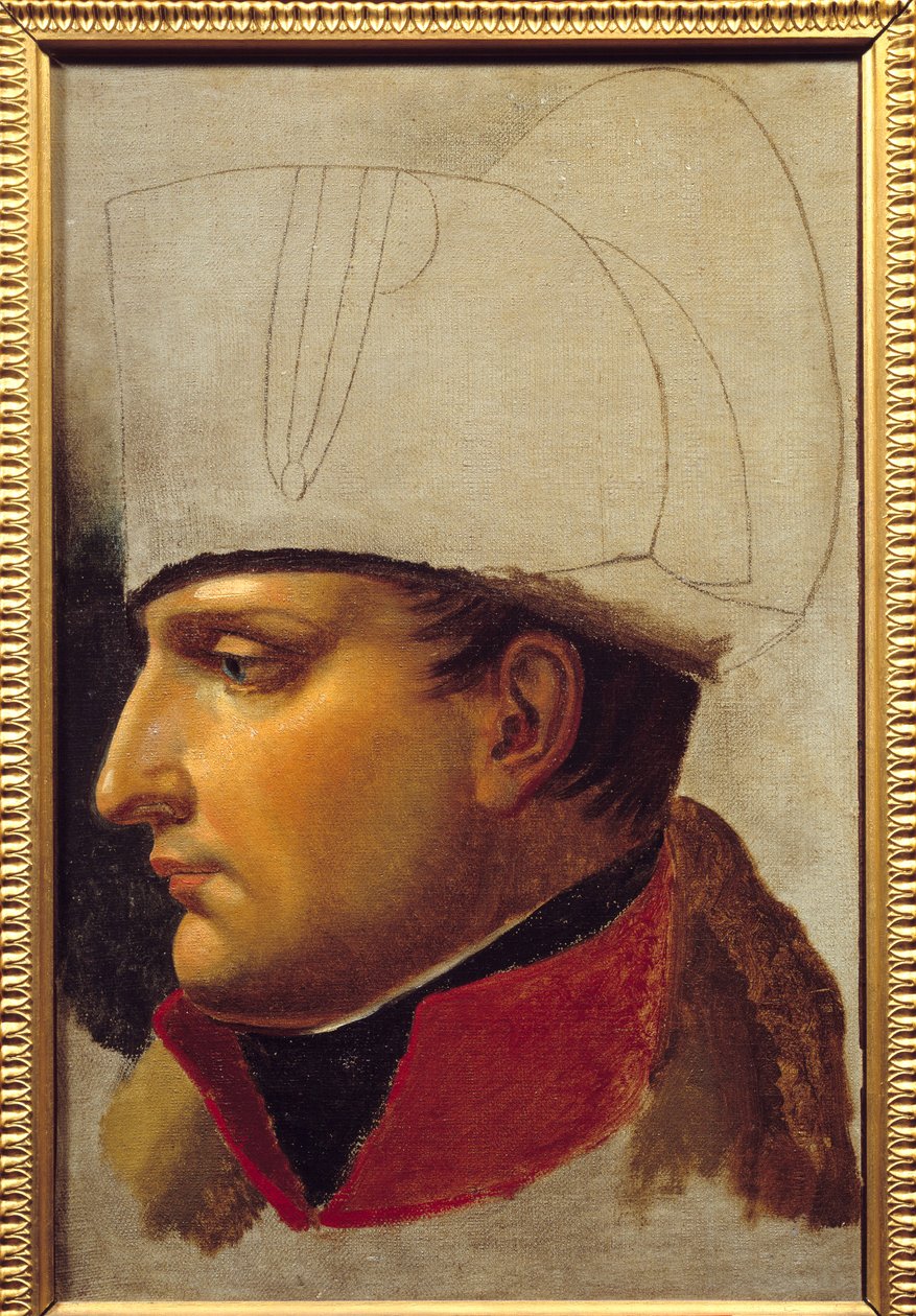 Napoleon I:n (1769-1821) muotokuva -tutkimus Wienin kaupungin avainten luovuttamista varten 13. marraskuuta tekijältä Anne Louis Girodet de Roucy Trioson