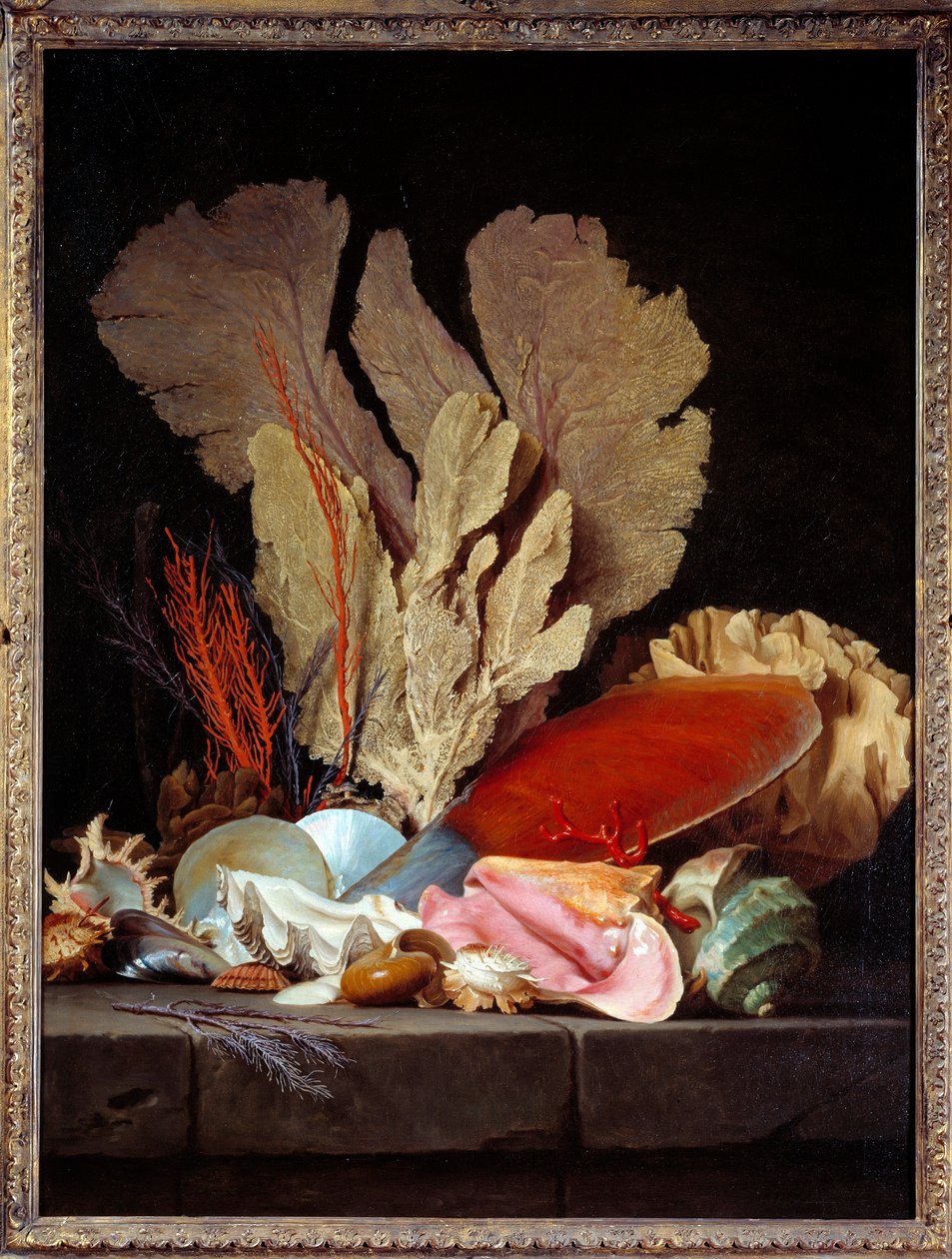 Sea Panaches asetelma kuorilla. Anne Vallayer Costerin (1744-1818) maalaus 1769 su. 1,3x0,97 m tekijältä Anne Vallayer Coster