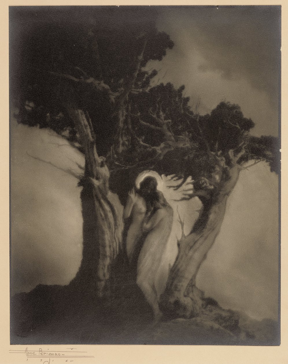 Myrskyn sydän tekijältä Anne W. Brigman