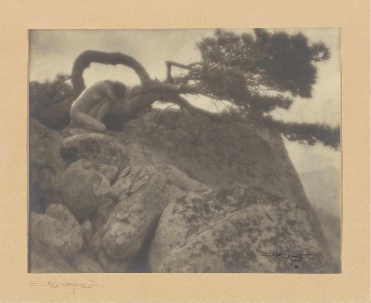 Lone Pine tekijältä Anne W. Brigman