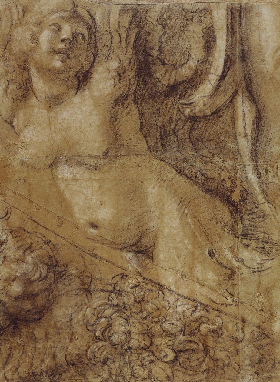 Kartonki Sirena tekijältä Annibale Carracci