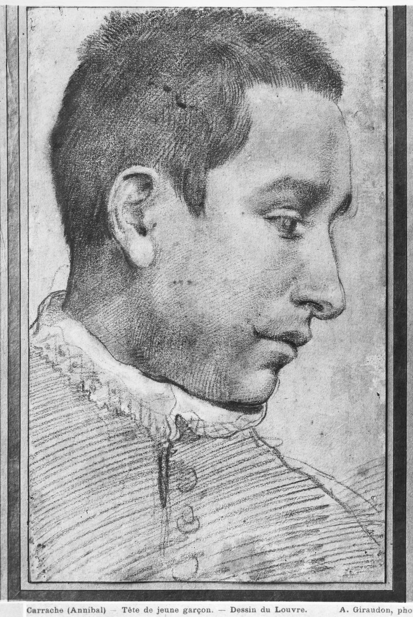 Nuoren miehen muotokuva (punainen liitu, pesu punaisesta liidusta ja valkoiset guassivärit paperilla) tekijältä Annibale Carracci
