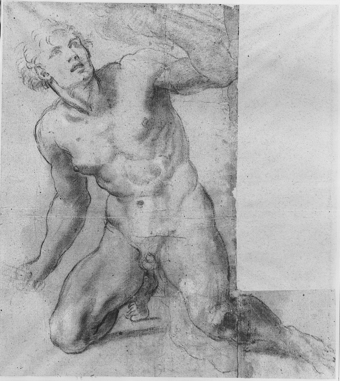Tutkimus Phineasille - Farnese Gallery tekijältä Annibale Carracci