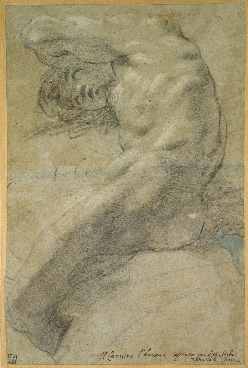 Tutkimus alaston miehestä tekijältä Annibale Carracci