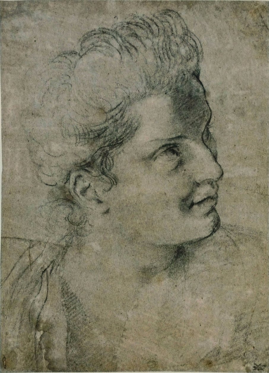 Tête de femme tekijältä Annibale Carracci