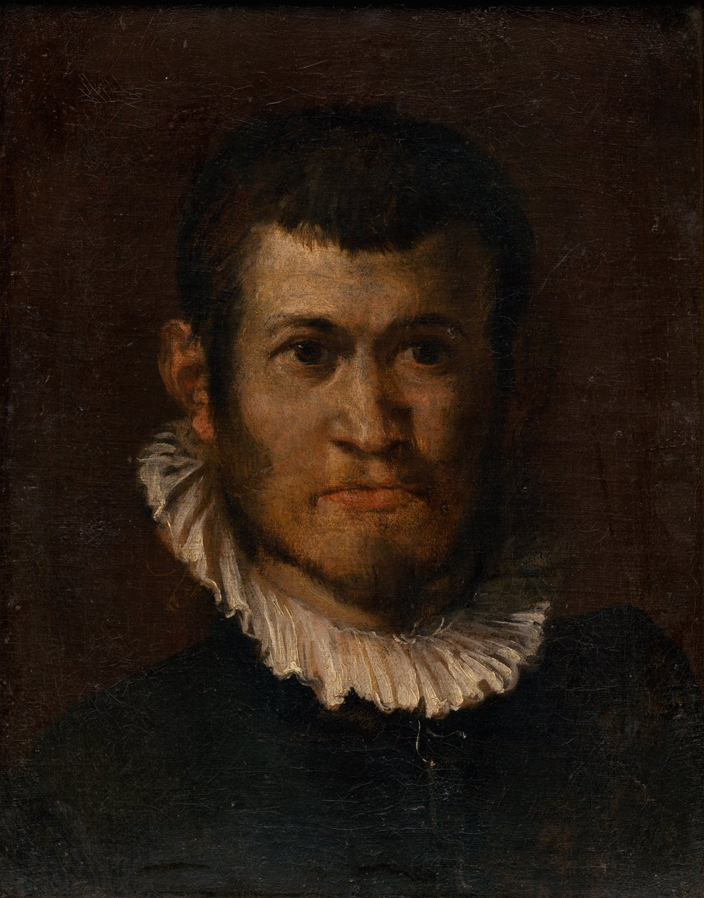 Štúdia hlavy muža tekijältä Annibale Carracci