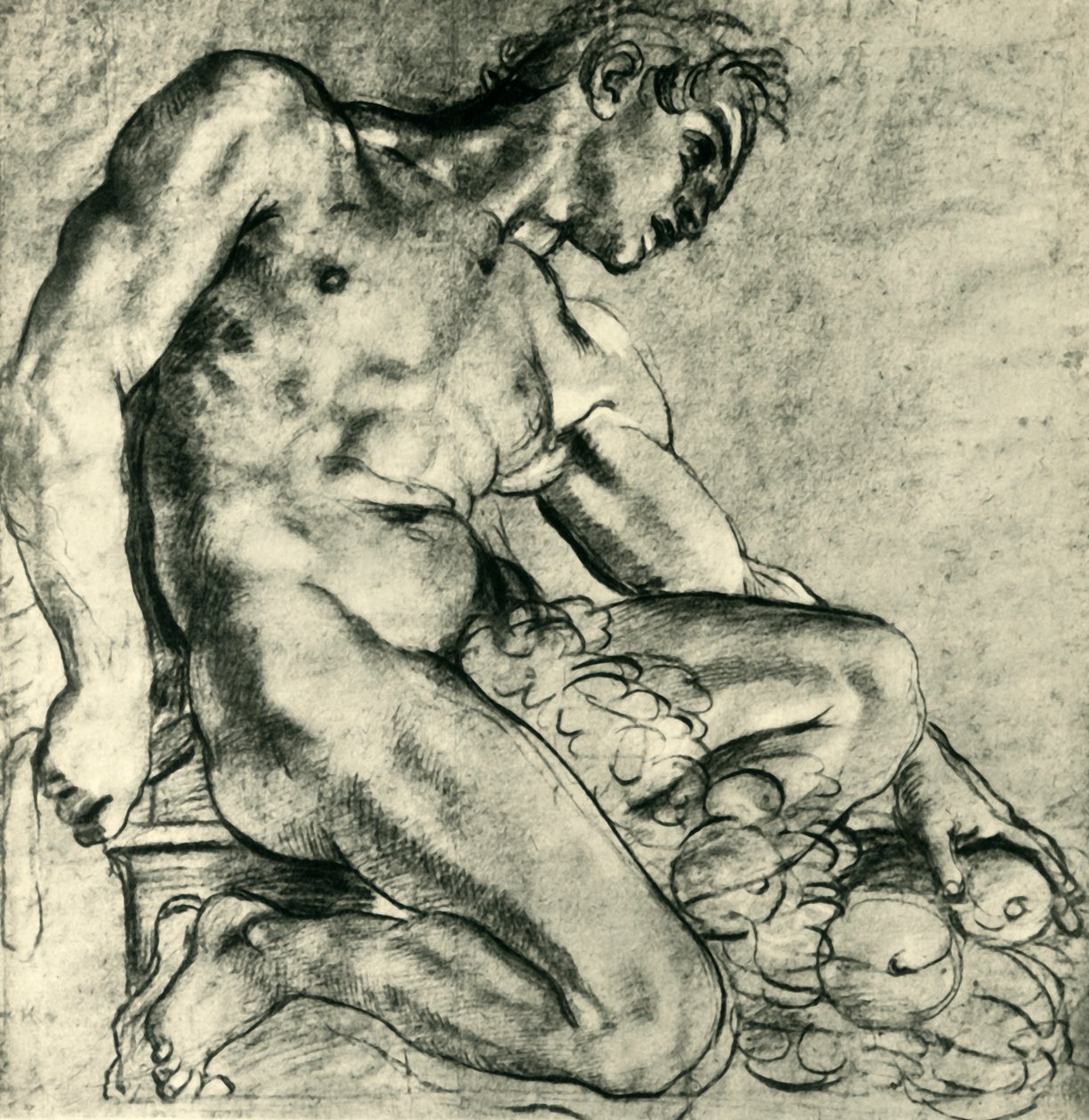 Istuva Ignudo ja seppele, 1598-1599, 1943. tekijältä Annibale Carracci