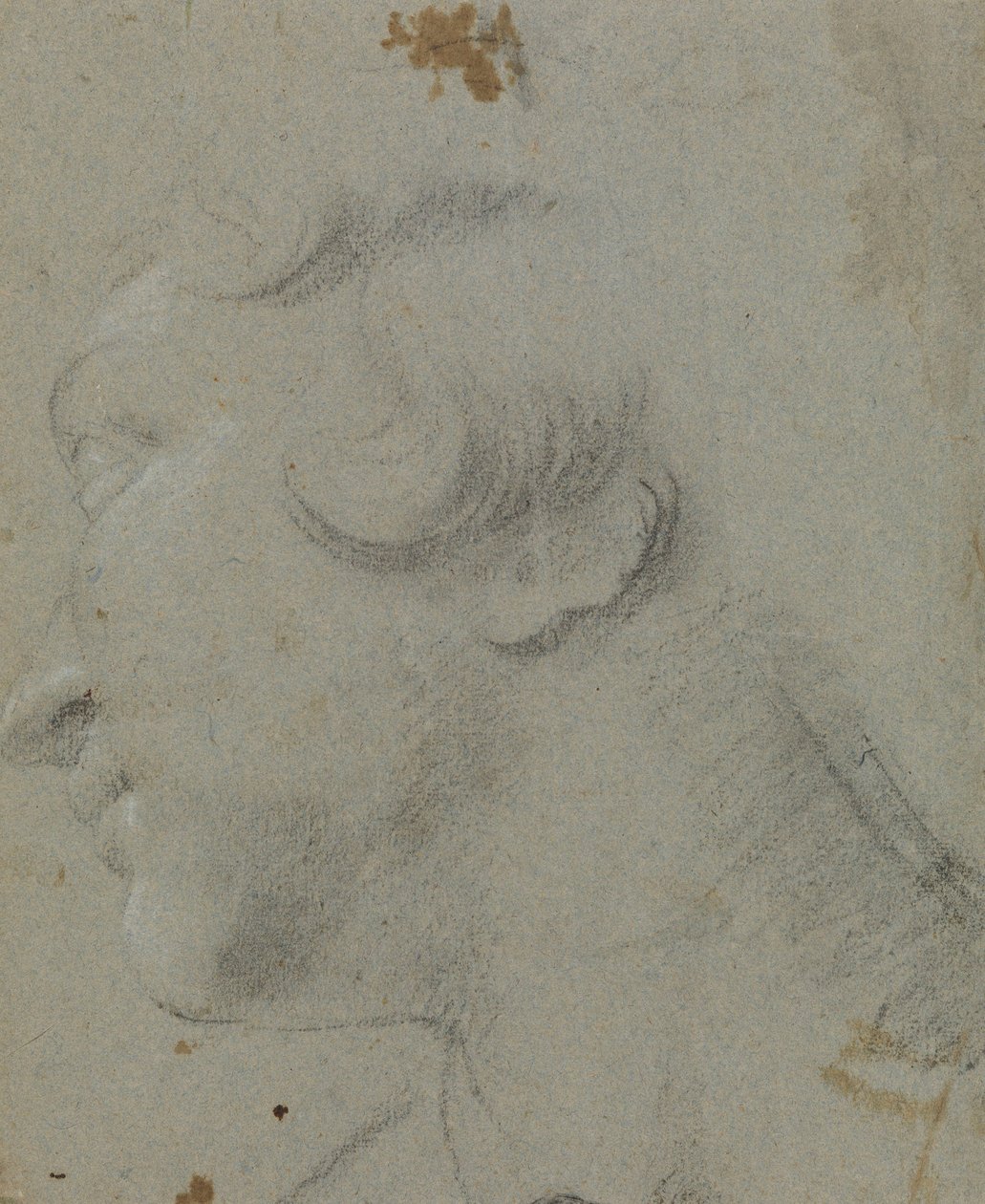 Carracci - r Pyhän Katariinan pää, RCIN 902115 tekijältä Annibale Carracci