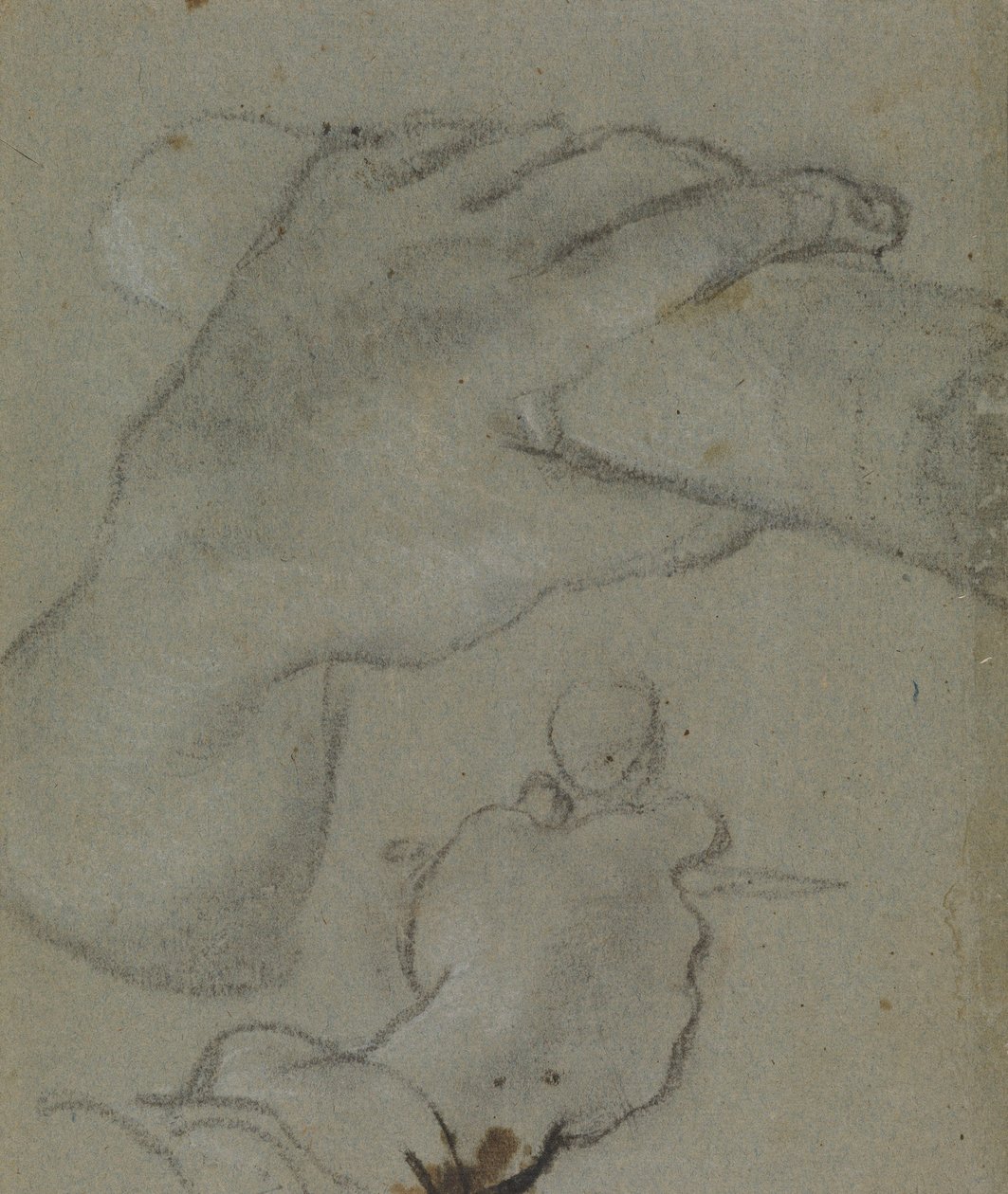 Carracci - v tutkimus Johanneksen käsiä varten, RCIN 902115 tekijältä Annibale Carracci