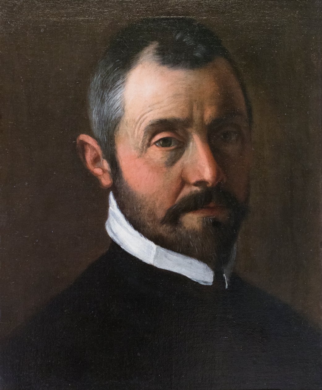 Annibale Carraccin miehen muotokuva tekijältä Annibale Carracci