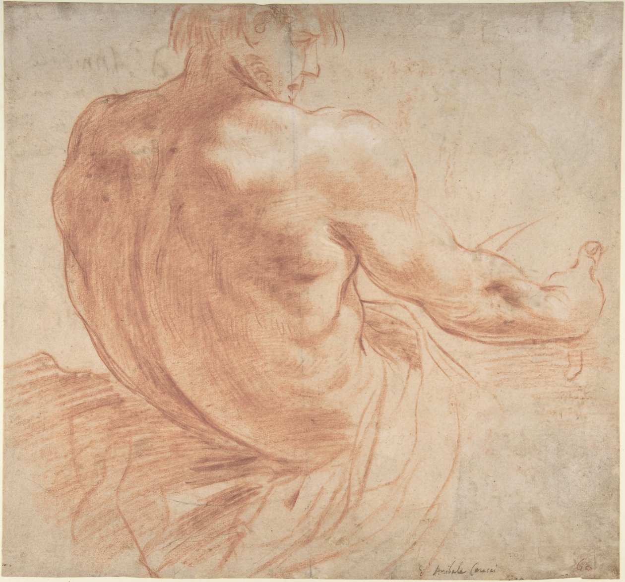 Istuva oikealle katsova nuorukainen takaapäin nähtynä tekijältä Annibale Carracci