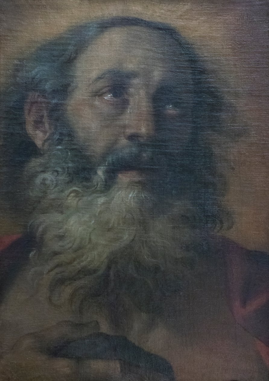 Pyhä Jerome tekijältä Annibale Carracci