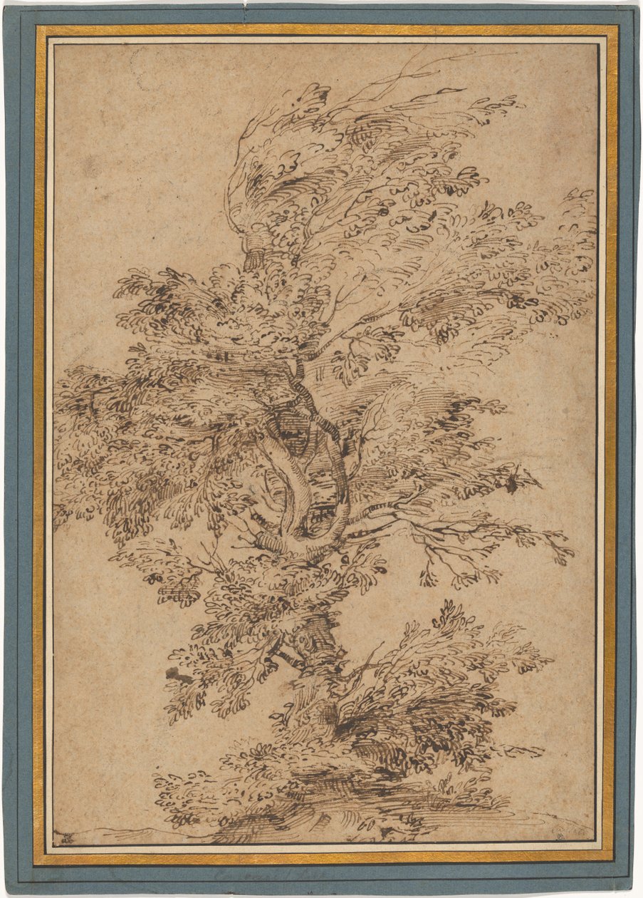Studie eines Baumes tekijältä Annibale Carracci