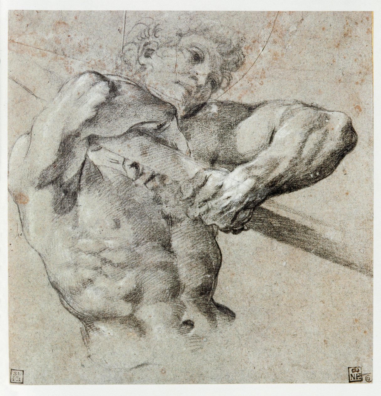 Tutkimus mieshahmosta ... tekijältä Annibale Carracci