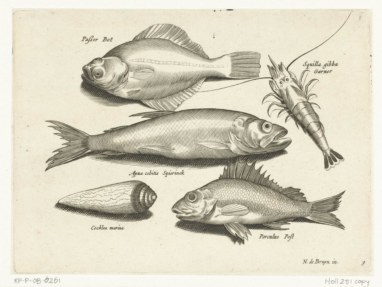 Llissa, gambes, olor i pos Libelivs miscellaneous Genera piscium complectens (títol de la sèrie) Acabat de peixos d