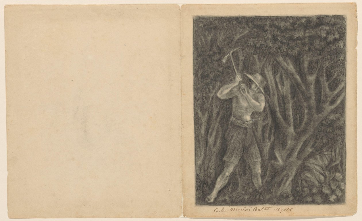Coolen alkaa kaataa metsää Ngorossa, noin 1820-1850 tekijältä Anonymous