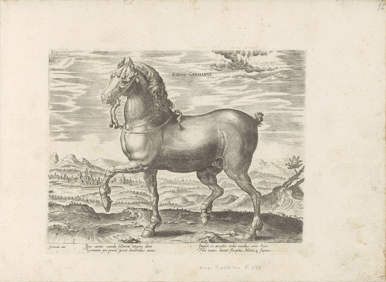 Duits paard saksalainen hevonen (otsikko esineessä) Paardenrassen uit de Koninklijke stallen van Don Juan van Oostenrijk (sarjan nimi) Hevonen, jossa kaikenlaisia ​​aatelisia: eri puolilta maailmaa erottuneiden hevosten käyttäytyminen valittu (...) (sarjan tekijältä Anonymous