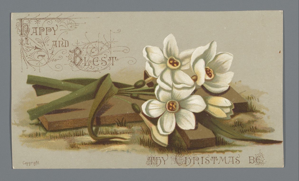 Louise E. Jaceardin joulukortti vuodelle 1882 rouva Sixille tekijältä Anonymous