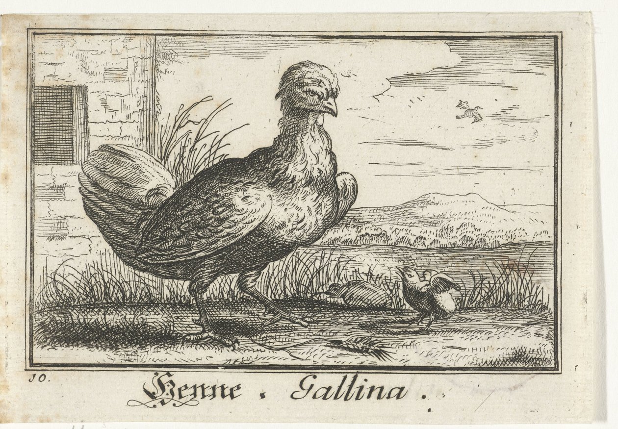 Kana kanan kanssa Henna, Gallina. (otsikko esineessä) tekijältä Anonymous