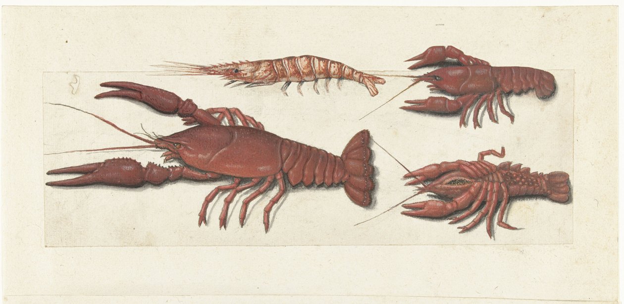 Langoustine, kaksi rapua ja katkarapua Lombard-albumi (sarjan nimi) tekijältä Anonymous