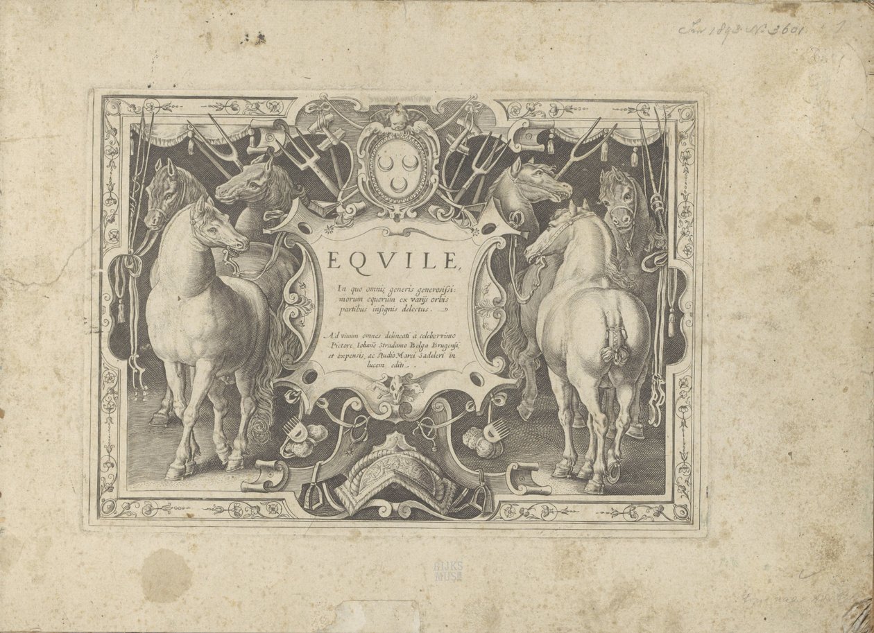 Ornamenteel cartouche met titel geflankeerd door paarden Hevonen, jossa kaikenlaisia ​​aatelisia: eri puolilta maailmaa erottuneiden hevosten käyttäytyminen valittu (...) (sarjan nimi esineellä) tekijältä Anonymous