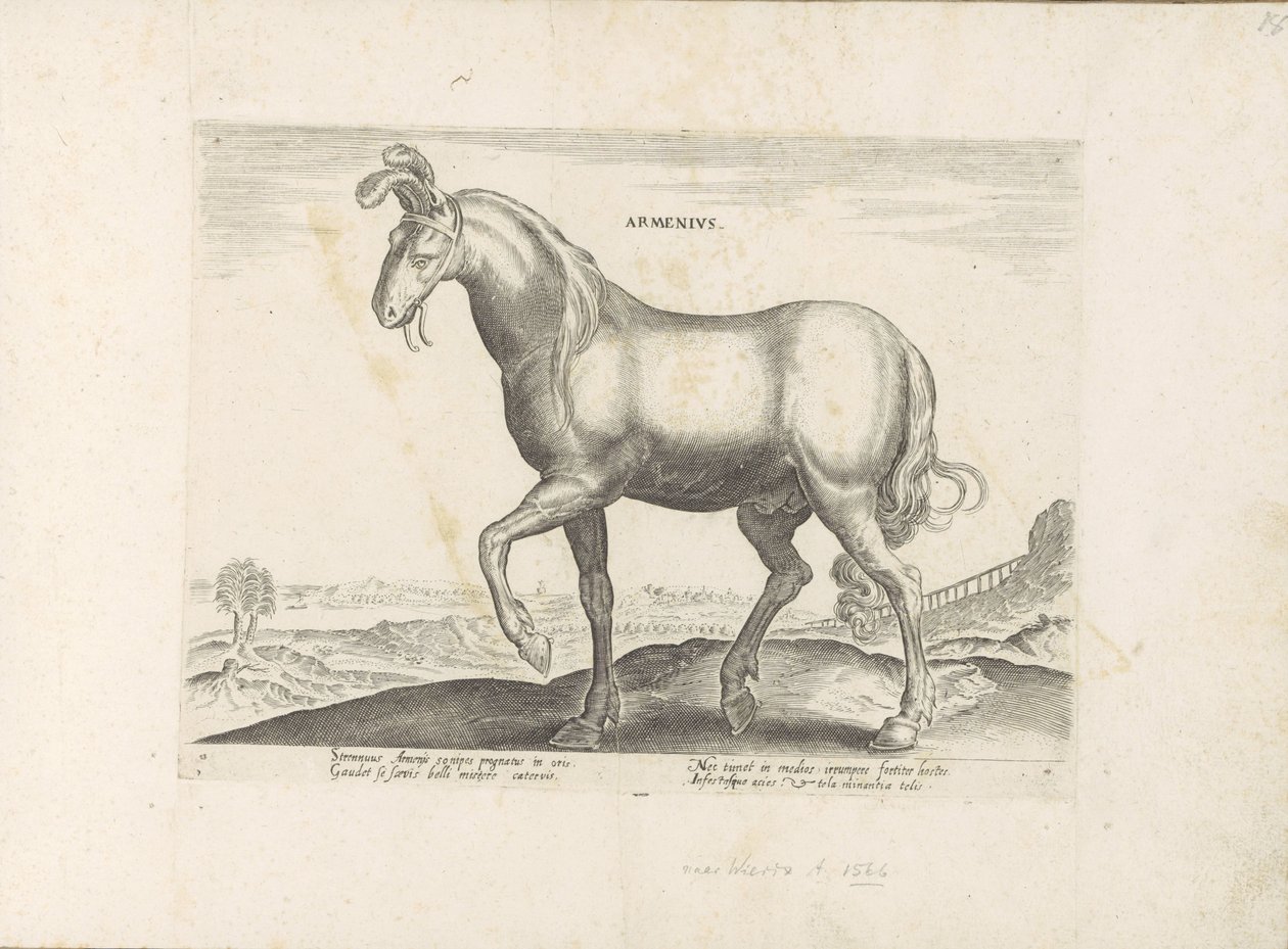 Paard uit Armenië Armenius (otsikko esineessä) Paardenrassen uit de Koninklijke stallen van Don Juan van Oostenrijk (sarjan nimi) Hevonen, jossa kaikenlaisia ​​aatelisia: eri puolilta maailmaa erottuneiden hevosten käyttäytyminen valittu (...) (sarjan nimi tekijältä Anonymous