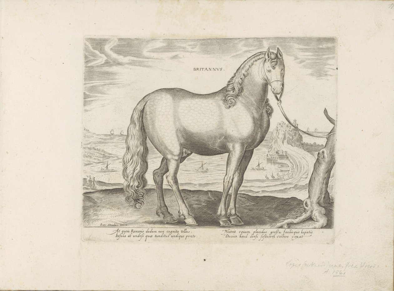 Paard uit Bretagne (Britannia) brittiläinen (otsikko esineessä) Paardenrassen uit de Koninklijke stallen van Don Juan van Oostenrijk (sarjan nimi) Hevonen, jossa kaikenlaisia ​​aatelisia: valittu eri puolilta maailmaa, joka erottuu hevosten käyttäytymisest tekijältä Anonymous
