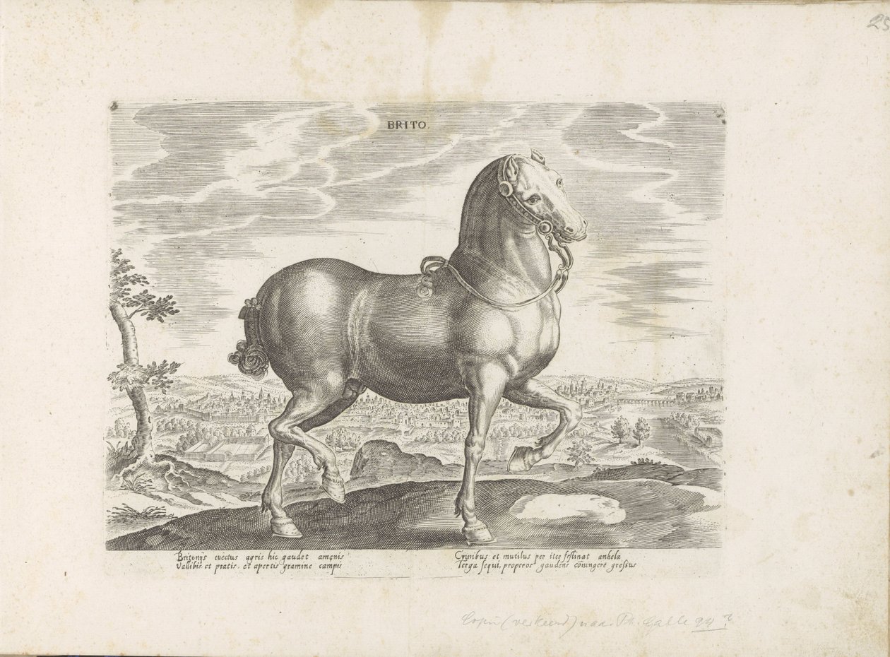 Paard uit Engeland Brito (otsikko esineessä) Paardenrassen uit de Koninklijke stallen van Don Juan van Oostenrijk (sarjan nimi) Hevonen, jossa kaikenlaisia ​​aatelisia: eri puolilta maailmaa erottuneiden hevosten käyttäytyminen valittu (...) (sarjan nimi o tekijältä Anonymous