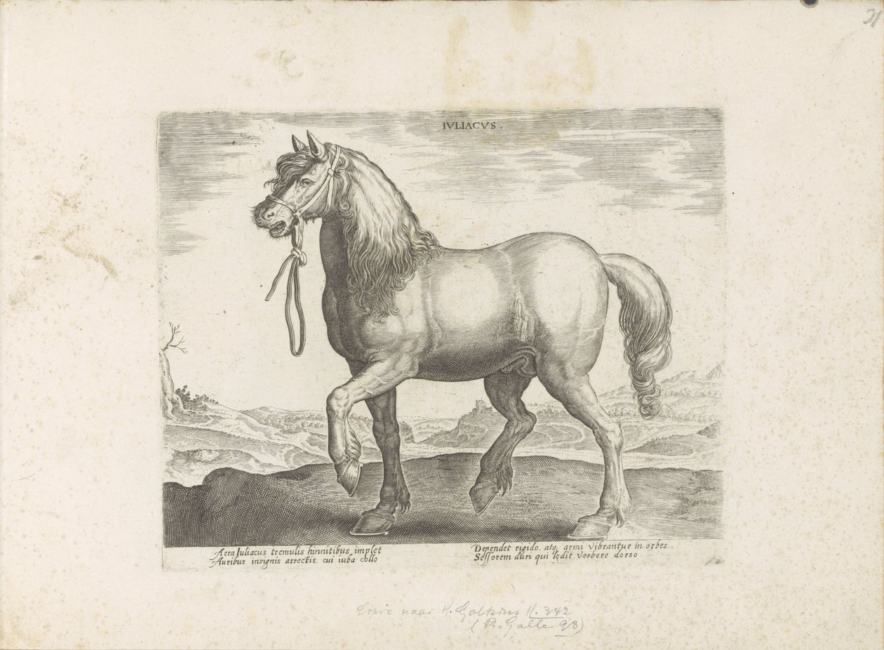 Paard uit Gulik (Juliacus) Julia (otsikko esineessä) Paardenrassen uit de Koninklijke stallen van Don Juan van Oostenrijk (sarjan nimi) Hevonen, jossa kaikenlaisia ​​aatelisia: valittu eri puolilta maailmaa, joka erottuu hevosten käyttäytymisestä (...) (sa tekijältä Anonymous