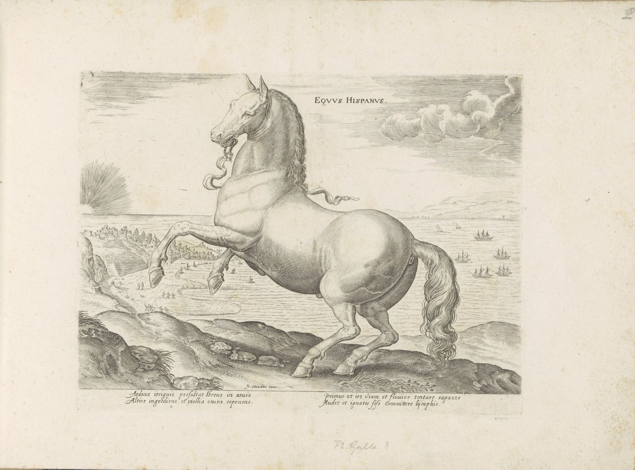 Paard uit Spanje Espanjan hevonen (otsikko esineessä) Paardenrassen uit de Koninklijke stallen van Don Juan van Oostenrijk (sarjan nimi) Hevonen, johon on valittu kaikenlaisia ​​aatelisia: eri puolilta maailmaa erottuvien hevosten käytöstapoja (...) (sarja tekijältä Anonymous