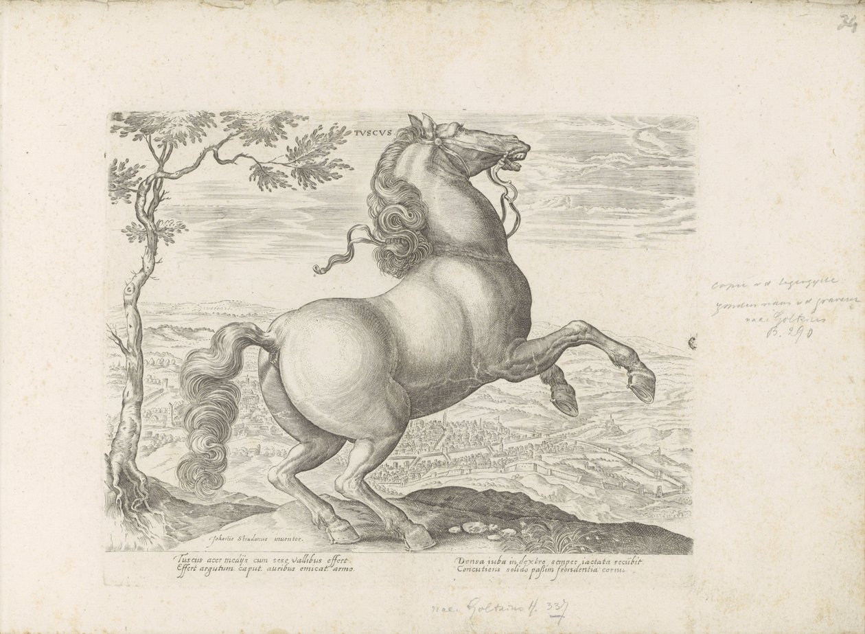 Paard uit Toscane Toscana (otsikko esineessä) Hevonen, jossa kaikenlaisia ​​aatelisia: eri puolilta maailmaa erottuneiden hevosten käyttäytyminen valittu (...) (sarjan nimi esineellä) tekijältä Anonymous