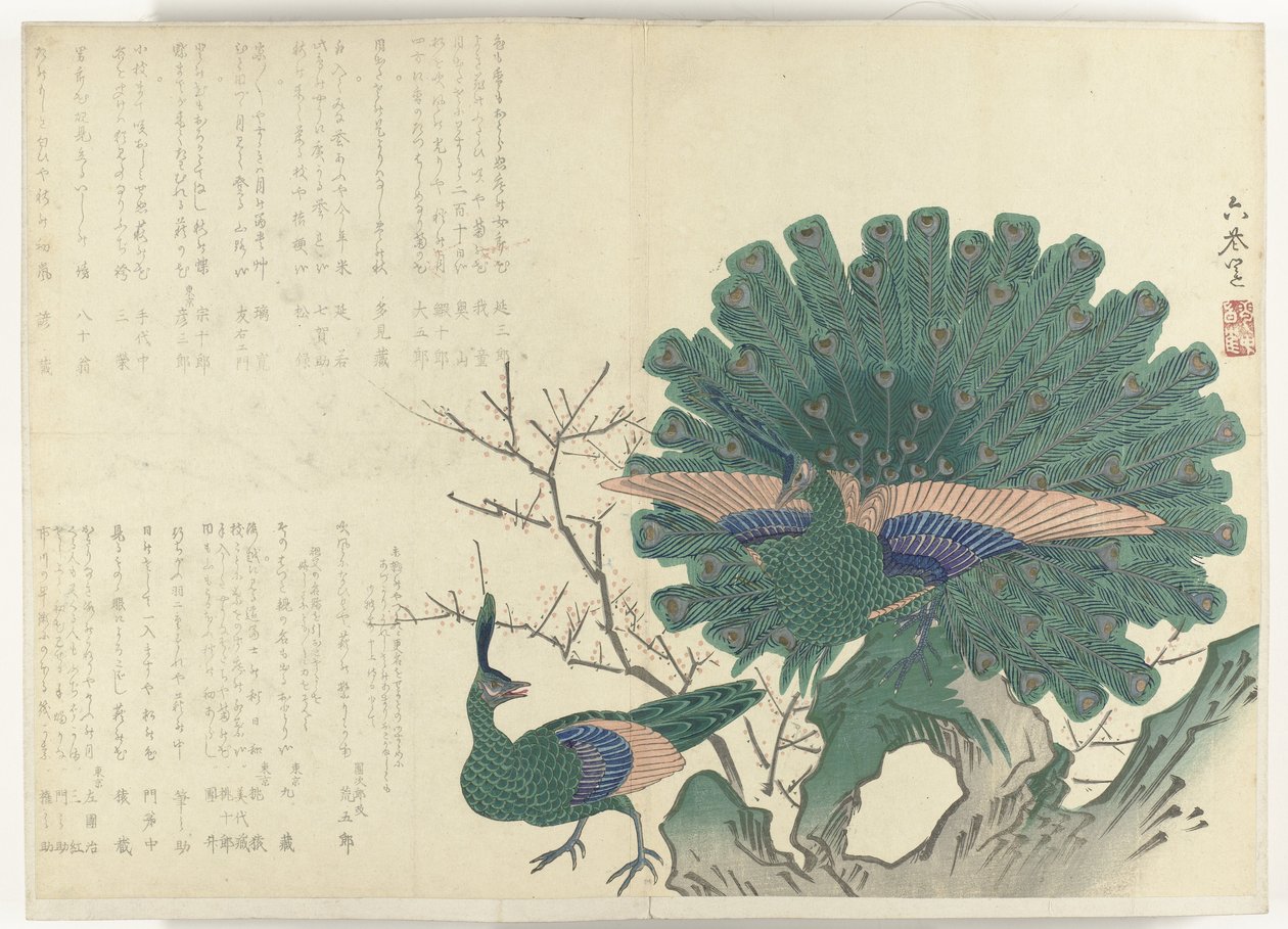riikinkukkoja Albumi Shijo-surimono kaudelta 1840-1900 (sarjan nimi) tekijältä Anonymous